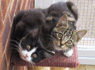 Molly and George